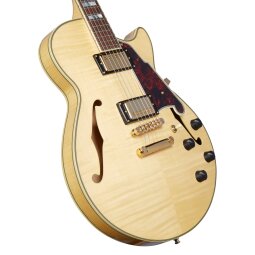 DAESSNATGSCBE-0025-A DAESSNATGSCBE-0025-A