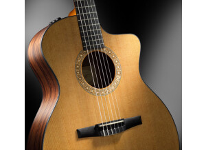 taylor-ns24ce-limited-cutaway-3