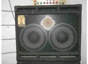 Eden Bass Amplification WT-550 TheTraveler (14977)