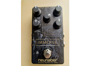 Neunaber Technology Immerse Reverberator (49716)