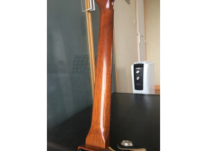 Godin Multiac Duet Steel (1404)