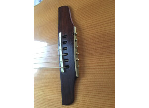 Godin Multiac Duet Steel (96702)