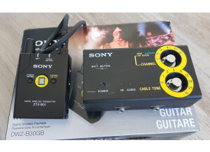 Sony DWZ-B30GB (92283)