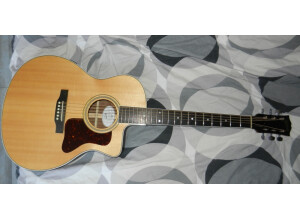 Gibson CSR-CE (22890)