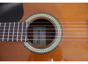 Alhambra Guitars 3C CW E1 (75396)