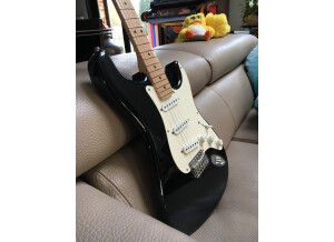 Fender Eric Clapton Stratocaster (60301)