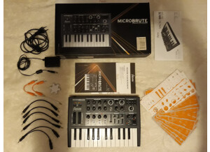 Arturia MicroBrute (9299)