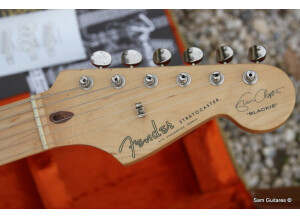 Fender Eric Clapton Stratocaster (31323)