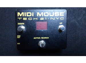 Midi Mouse 1