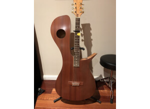 Kinny Stereo Acoustic Guitar (64578)