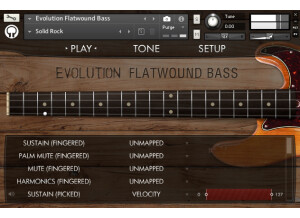 EvolutionFlatwoundBassInterface