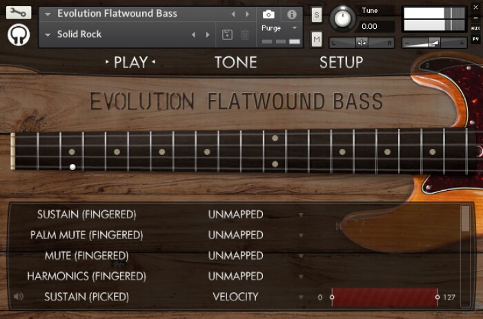 EvolutionFlatwoundBassInterface EvolutionFlatwoundBassInterface