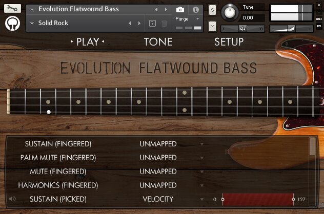 EvolutionFlatwoundBassInterface EvolutionFlatwoundBassInterface