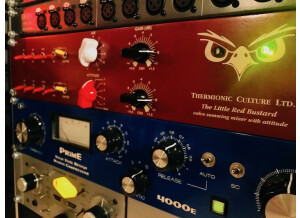 Thermionic Culture The Little Red Bustard