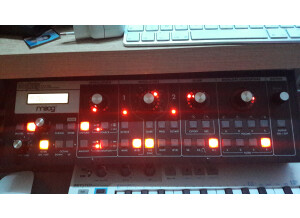 Moog Music SlimPhatty (28797)