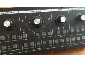 Moog Music SlimPhatty (6041)