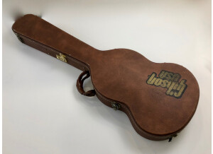 Gibson Nighthawk Standard (3738)