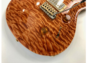 PRS Custom 24 10 Top - Angry Larry (61828)