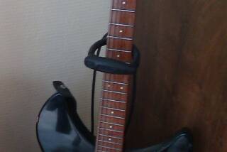 Rickenbacker 330