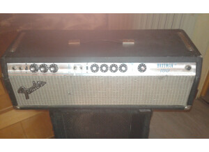 Fender Bassman 100 (Silverface) (79622)