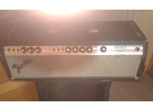 Fender Bassman 100 (Silverface) (91012)