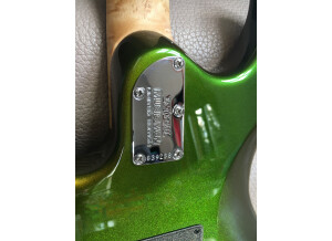 Fender Eric Clapton Stratocaster (71659)