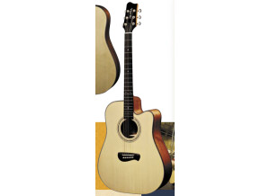 Tacoma Guitars DR14C (9852)