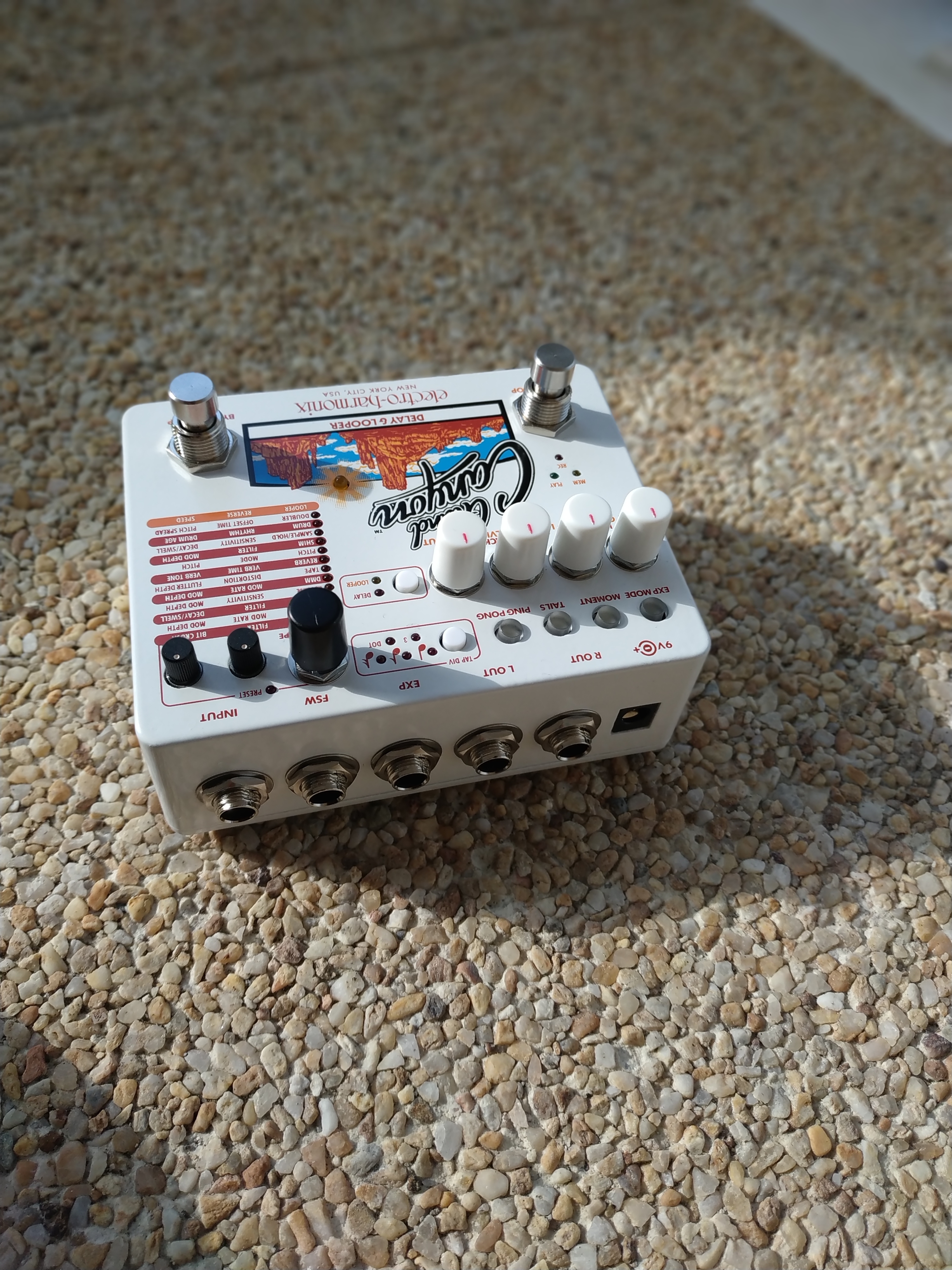 Electro-Harmonix Grand Canyon : Grand_Canyon_Connectique2