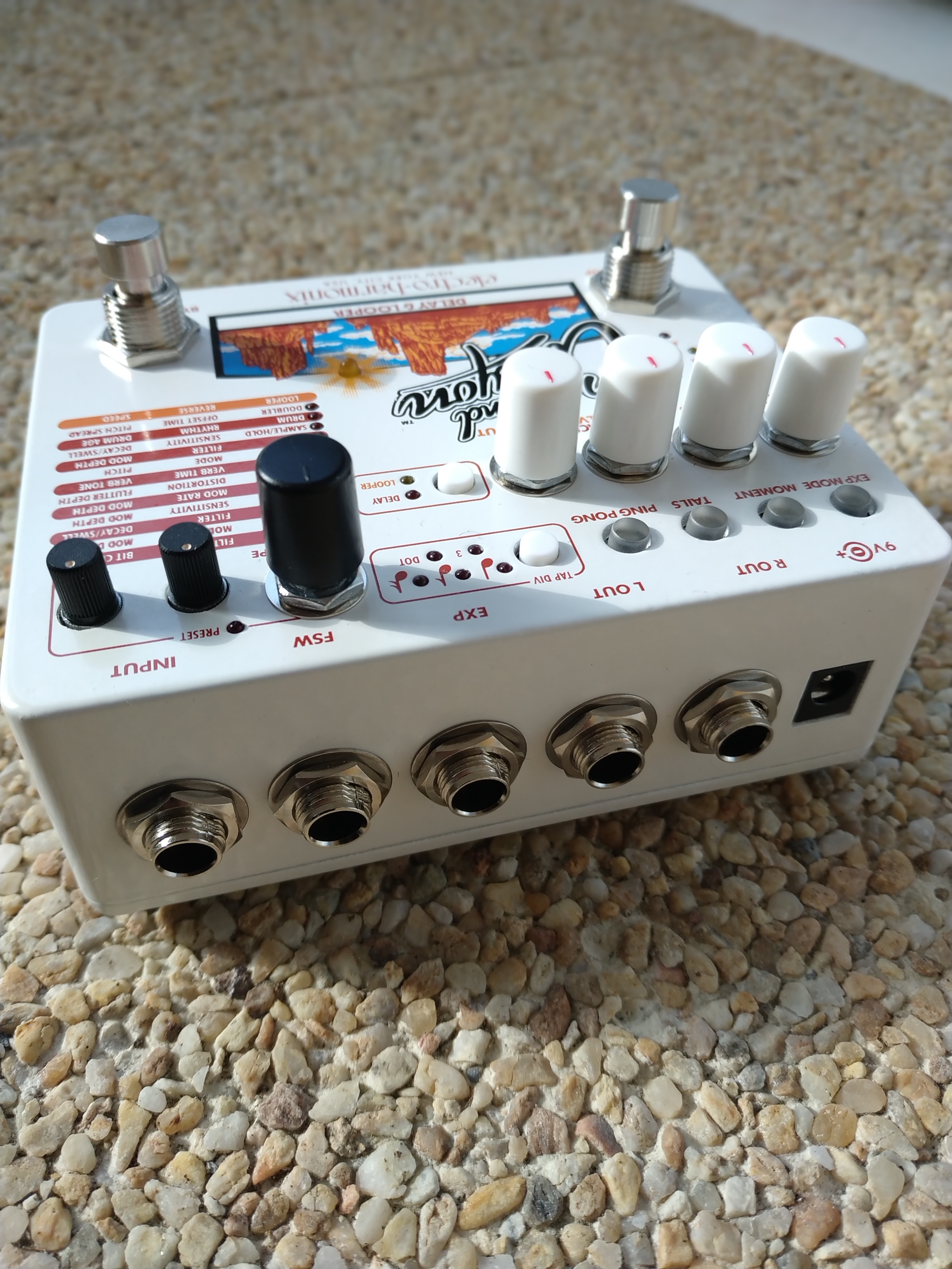 Electro-Harmonix Grand Canyon : Grand_Canyon_Connectique