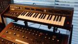 ARP Pro Soloist