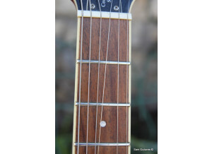 Hofner Guitars Verythin CT - Transparent Red (58058)
