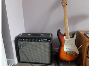 Fender Princeton 65 (1009)