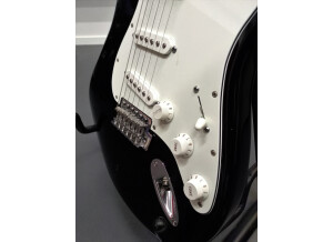 Fender Standard Stratocaster [2009-Current] (75791)