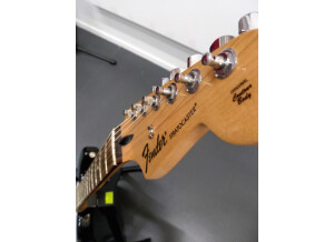 Fender Standard Stratocaster [2009-Current] (88384)