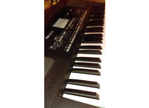 Korg Pa300 (74194)