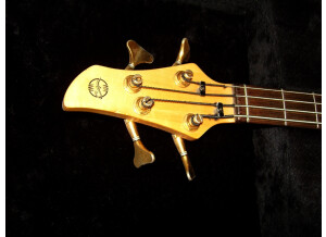 Noguera Expression 4 Cordes