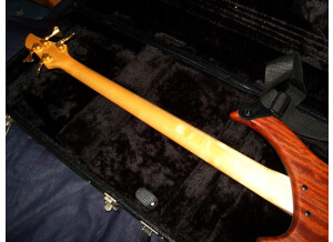 Noguera Expression 4 Cordes