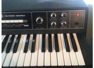 Korg Pe-1000 (62668)