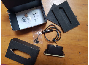 L.R. Baggs M1 Active (47764)