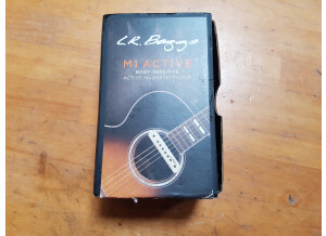 L.R. Baggs M1 Active (21474)