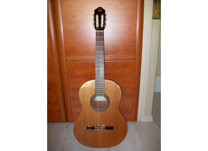 Alhambra Guitars 2C (28809)