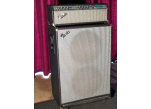 Fender Bassman 100 (Silverface) (47310)