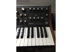 Moog Music SUB 37 (94525)
