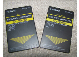 Roland R-8 (29141)