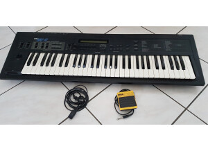 Korg Ds8 (29766)