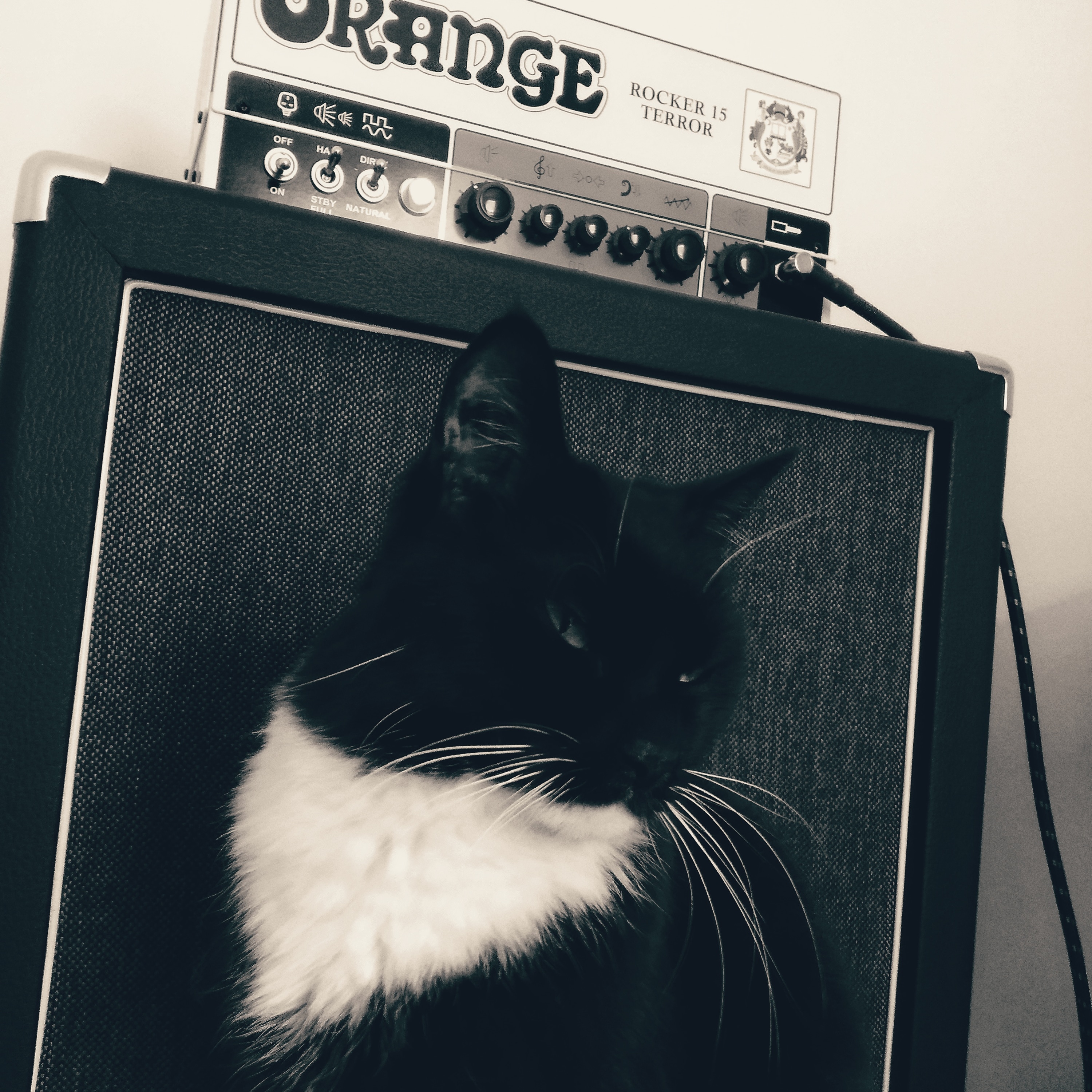 Orange Rocker 15 Terror