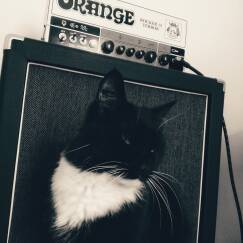 Orange Rocker 15 Terror