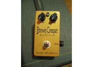 Kaden Effects Brown Creeper