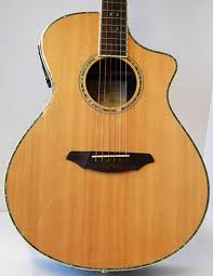 Breedlove AC25/SR Plus