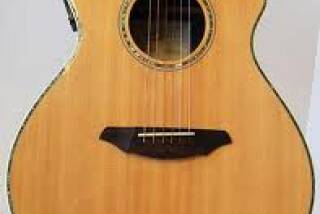 Breedlove AC25/SR Plus
